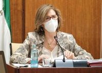 Cámara de Cuentas recomienda a la Junta "mejorar y completar" la información económica del Portal de Transparencia