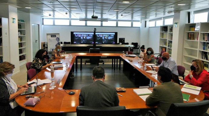 Comisión permanente del Consejo de Administración del SAE.