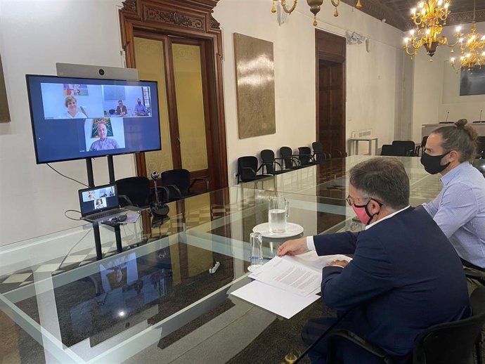 El conseller de Movilidad y Vivienda, Josep Marí, durante una reunión telemática