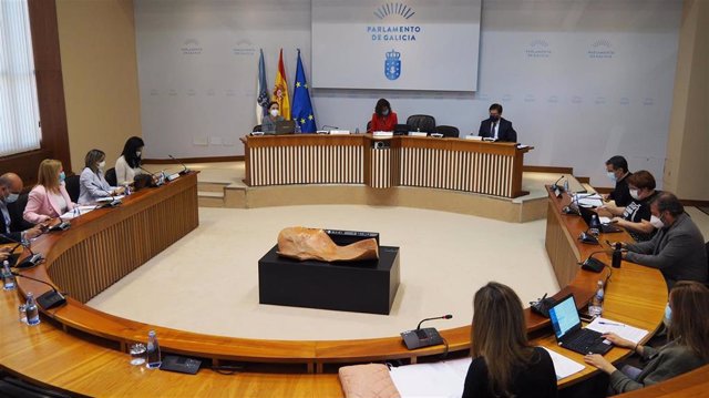 Comisión Institucional, de Administración Xeral, Xustiza e Interior del Parlamento de Galicia