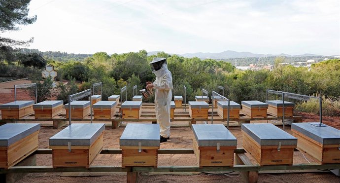 Colmenas para proteger abejas en el cementerio de ltima en Roques Blanques (El Papiol, Barcelona)