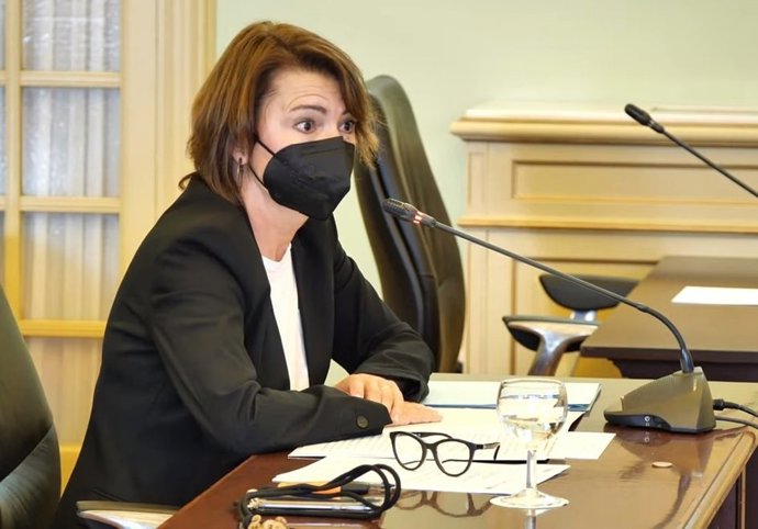 La diputada del PP Marga Durán, en la Comisión de Salud del Parlament.
