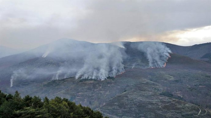 Incendio que afecta a la zona de Los Ancares, en León.
