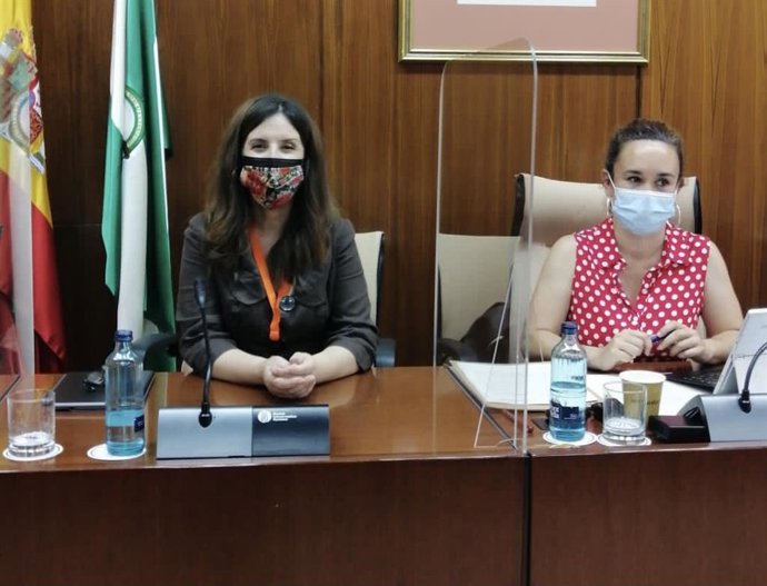 Codapa pide que la Ley de reconocimiento de autoridad del profesorado eduque "desde la convivencia, no desde coerción".