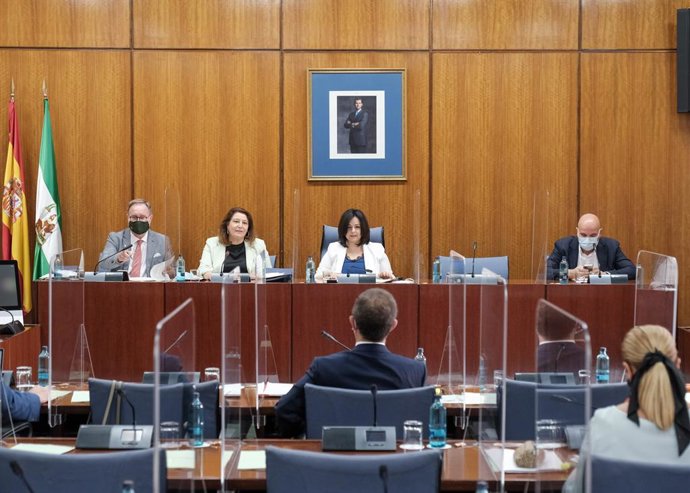 La consejera de Agricultura, Ganadería, Pesca y Desarrollo Sostenible de la Junta de Andalucía, Carmen Crespo, este miércoles.