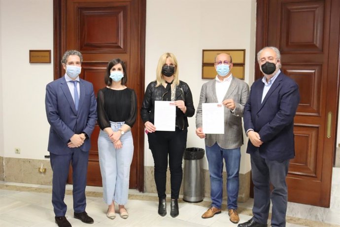 Diputados del PSdeG en el Congreso