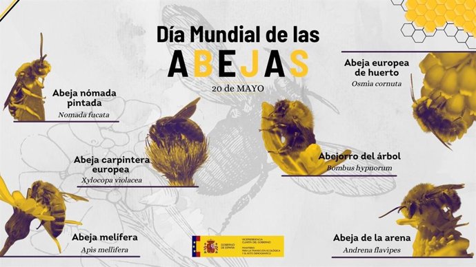 El 20 de mayo se celebra el Día Mundial de las Abejas.