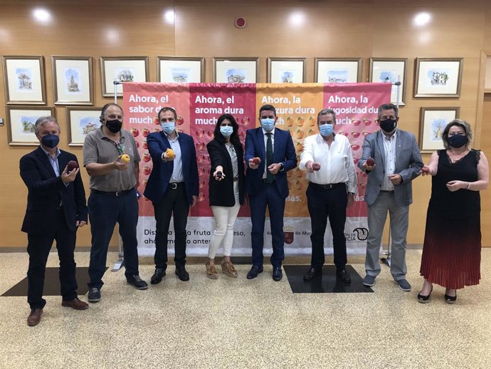El consejero Antonio Luengo, junto a los representantes del sector, durante la presentación de la campaña de promoción de la fruta de hueso impulsada por la Comunidad