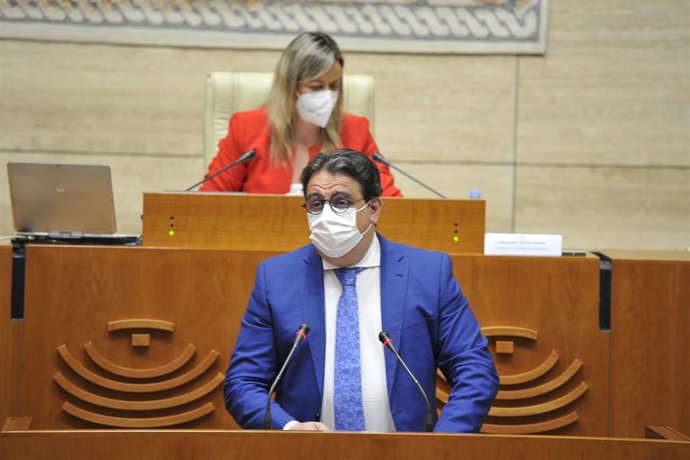 El consejero de Sanidad y Servicios Sociales, José María Vergeles, en su comparecencia ante el Pleno.