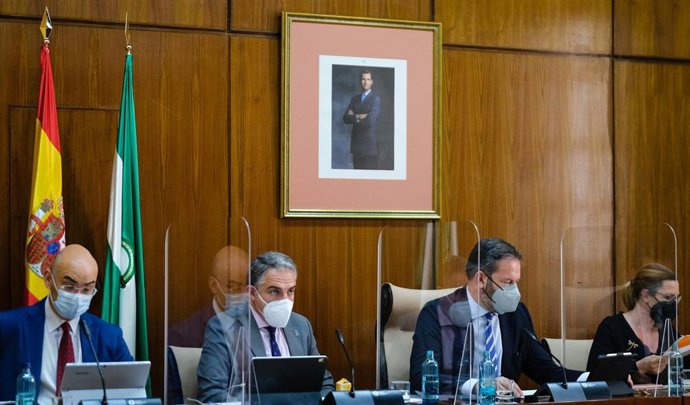 El consejero de la Presidencia, Administración Pública e Interior, Elías Bendodo, comparece en comisión parlamentaria.