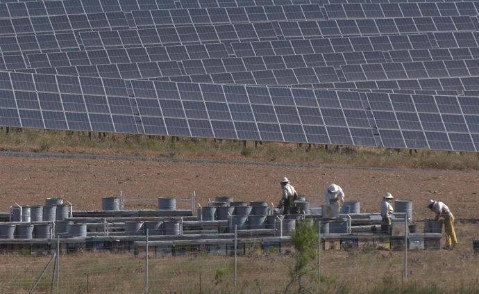 Iberdrola recoge en Huelva la producción de miel solar del colmenar fotovoltaico "más grande del mundo"