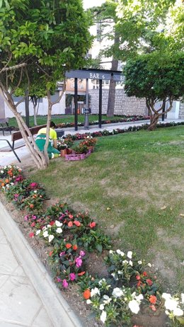 Plantación de flores.