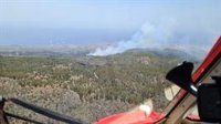 El incendio forestal de Arico (Tenerife) se desplaza hacia la cumbre y el oeste