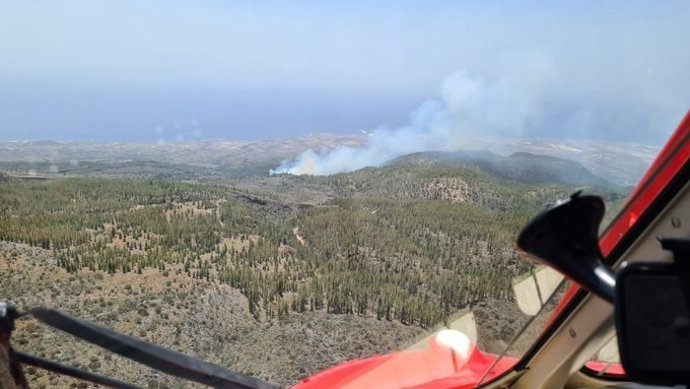 Incendio forestal en el barranco de Chajaña (Tenerife)