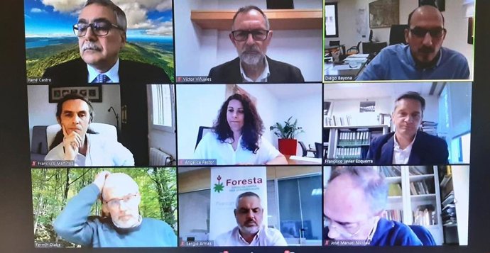 Webinar organizado por la entidad Archipiélago de Bosques con el título 'La importancia de los bosques en la acción climática'.