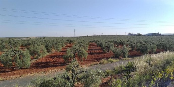 Suelos señalados por los ecologistas