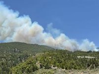 El incendio forestal de Arico (Tenerife) pasa a Nivel 2 tras quemar 400 hectáreas
