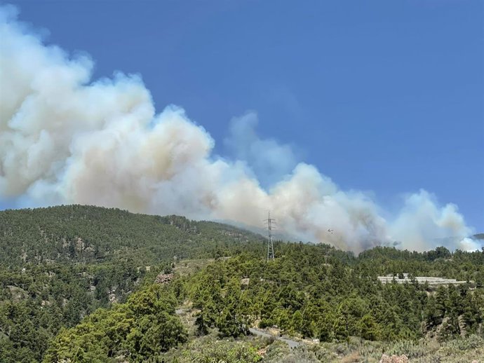 Incendio de Arico