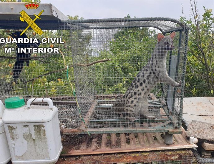 Rescate de la Guardia Civil