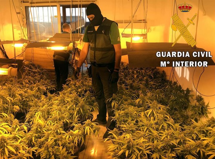 Marihuana en una vivienda de Roquetas de Mar (Almería)