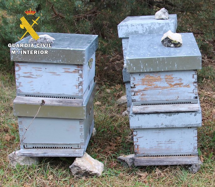 Colmenas recuperadas en Burgos.