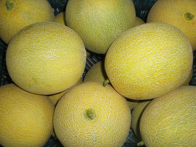 Melones