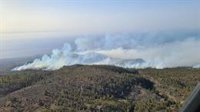 El incendio de Arico (Tenerife) abarca un perímetro de 16 kilómetros y una superficie de 1.500 hectáreas