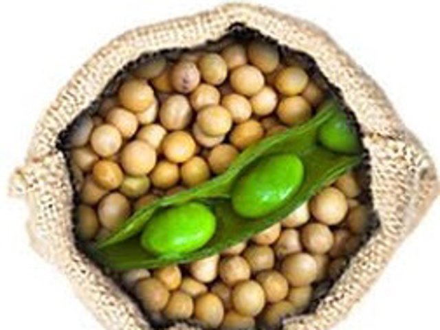 LLega el verano y es importante cuidarse