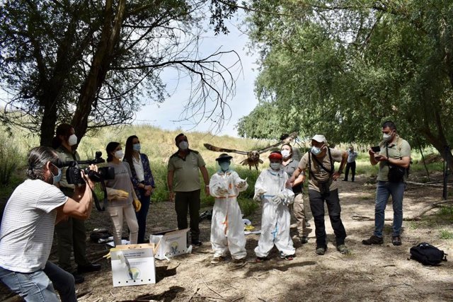 Suelta de aves en el marco del Día Europeo de la Red Natura 2000.