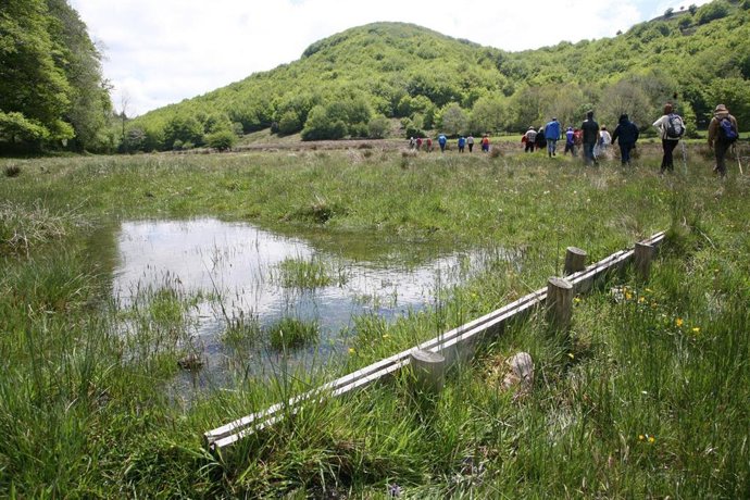 La turbera de Belate