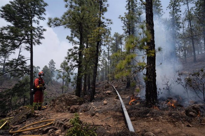 Tareas de extinción del incendio de Arico (Tenerife)