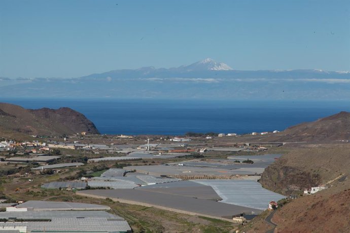 Archivo - Plantaciones agrarias en Canarias