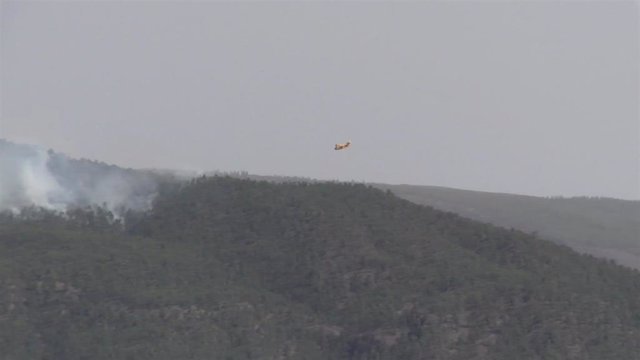 Parte de la superficie del incendio de Arico, a 21 de mayo de 2021