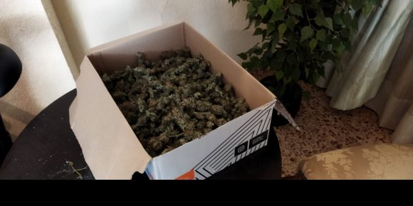 2. Detenido un hombre que gestionaba un punto de venta de droga al menudeo desde su casa en Alzira (Valencia)