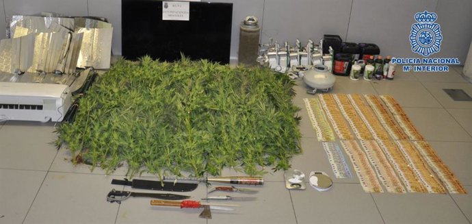 Incautación de marihuana en Móstoles