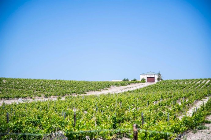 Bodegas González Palacios de Lebrija