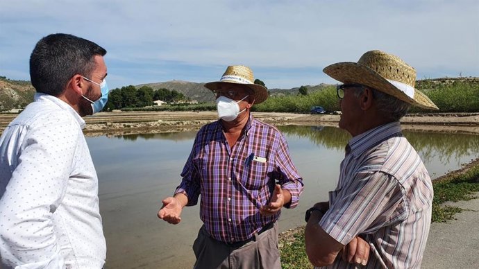 El consejero Antonio Luengo, junto a dos agricultores de arroz en Calasparra