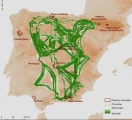 Mapa de la península ibérica donde aparecen marcados en verde los corredores y las zonas prioritarias de conservación / Mario Mingarro