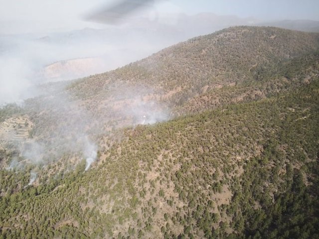 Incendio de Arico (Tenerife) este 22 de mayo