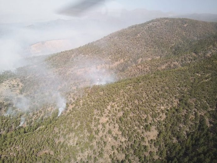 Incendio de Arico (Tenerife) este 22 de mayo