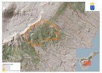 Un centenar de efectivos trabajarán durante la noche para consolidar el perímetro del incendio de Arico