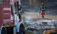 Un incendio afecta a un centenar de chabolas de un asentamiento en Níjar (Almería) y deja a una persona herida
