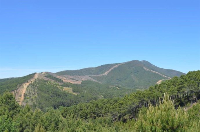 Monte de Sierra de Gata.