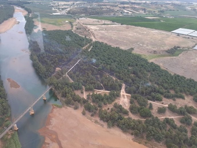 Zona ardida en Gibraleón.