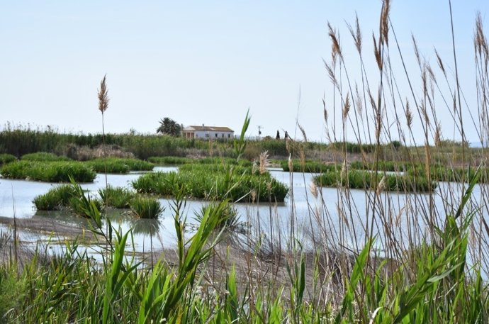 Archivo - El Museo del Arroz retoma sus visitas guiadas por La Albufera