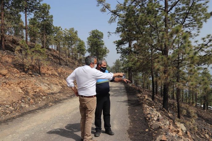 El alcalde de Arico, Sebastián Martín