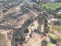 El incendio forestal en Lepe (Huelva) calcina tres hectáreas de matorral y arbolado