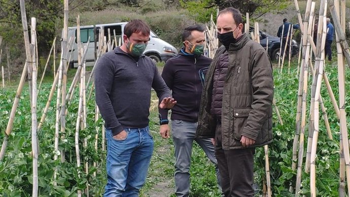 El parlamentario andaluz de Vox Francisco Ocaña visita los cultivos de Mecina Bombarón en la Alpujarra granadina.