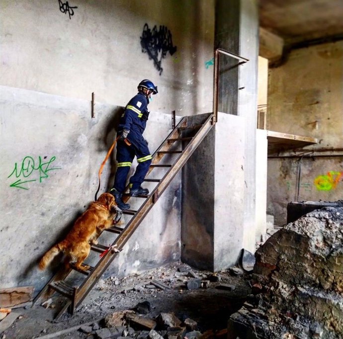 Un agente y un perro de la unidad canina de Bomberos del Ayuntamiento de Valncia