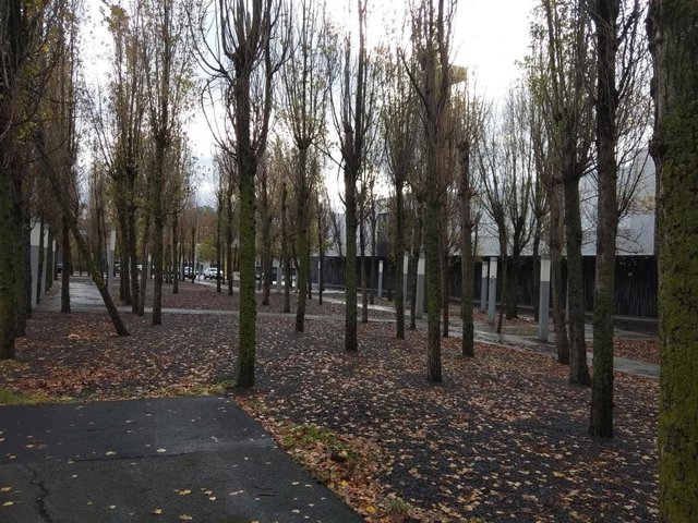 Archivo - Lluvia y cielos cubiertos en Euskadi.